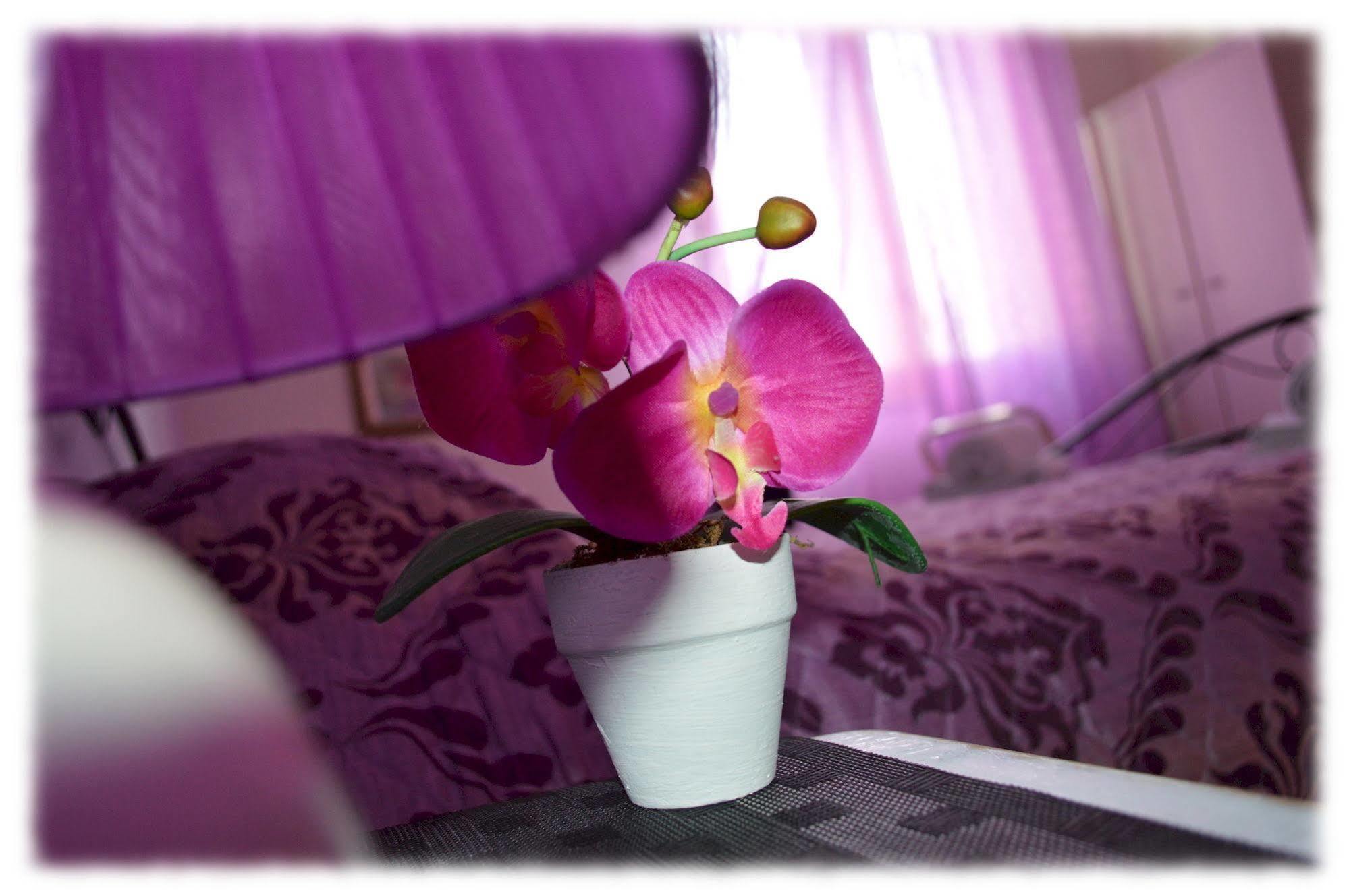 Bed & Breakfast Josef 3*